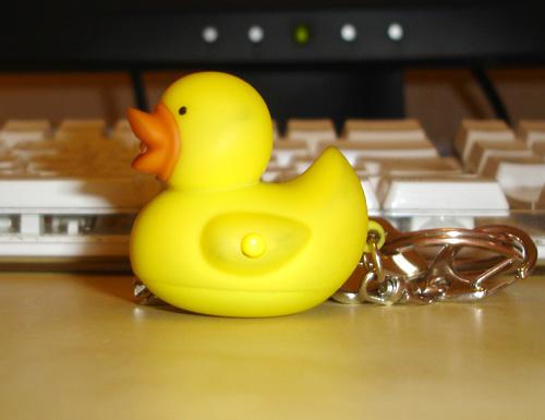duck-small.jpg