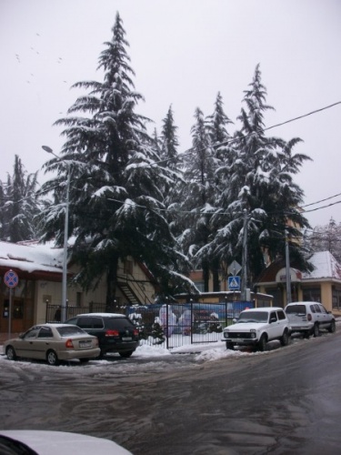 alim7589.jpg