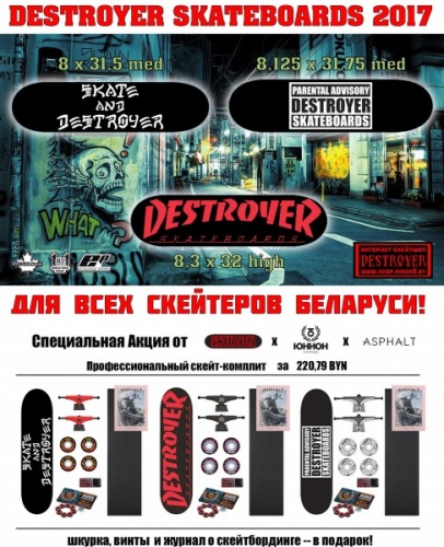 destroyer_skateboards_2017_ad_3.jpg