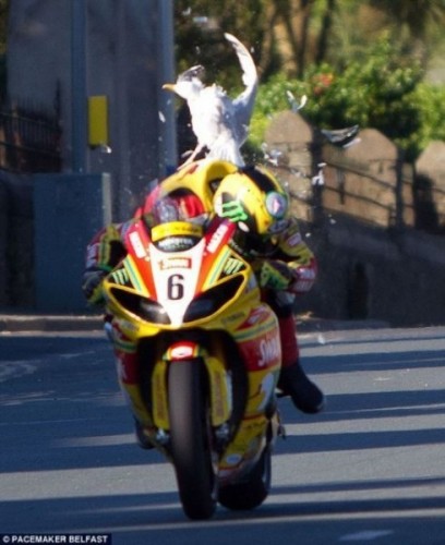 ian-hutchinson-tourist-trophy-2012-crash.jpeg