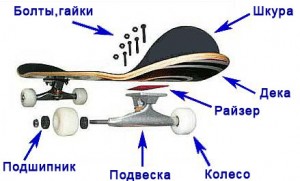 Как собрать скейт?