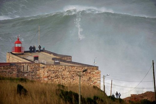 big_wave_surfing.jpg
